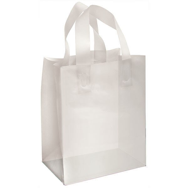 Plastic Frosted Bag Clear 8x5x10
